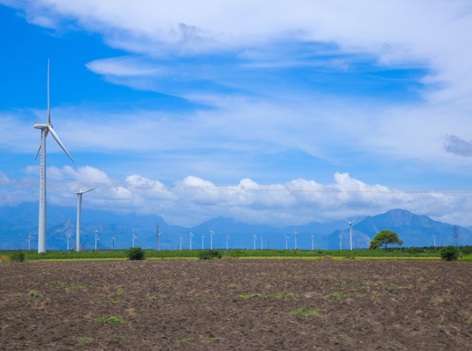 Corrado (PD): la transizione ecologica è la via migliore per rilanciare la nostra economia