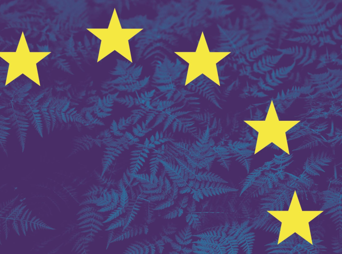 Verso un Green Deal mondiale