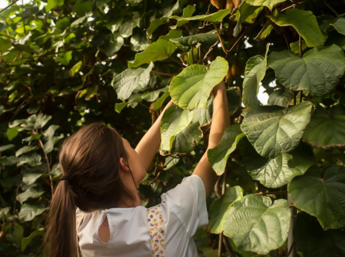 CrowdFarming acquisisce L’Alveare che dice Sì!