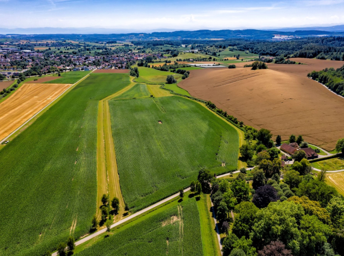 Un sistema alimentare circolare può invertire il superamento dei limiti planetari