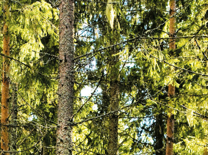 The Bioeconomy Gets to the Fridge: Packaging is 100% Biobased