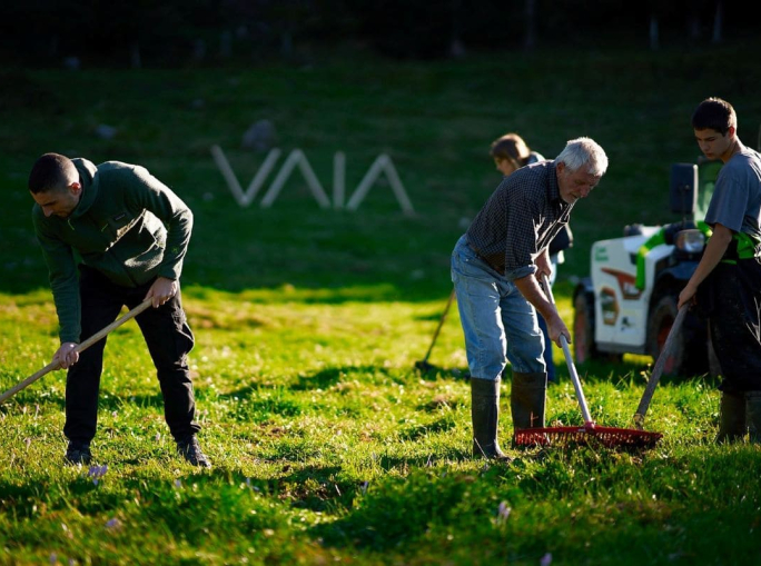 Dagli abeti delle Dolomiti agli ulivi del Salento: progetti che rigenerano territori e comunità