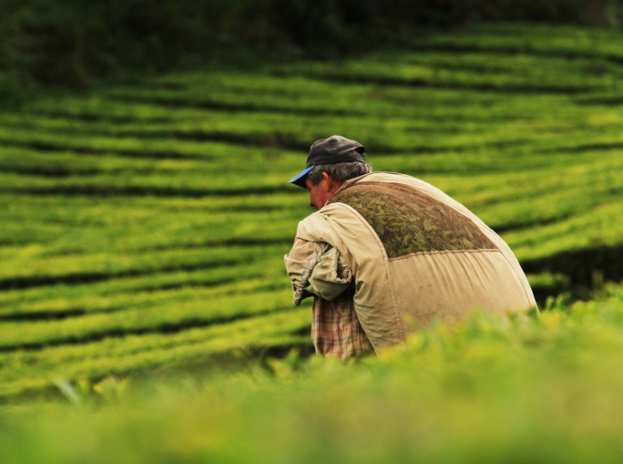 Finanza climatica, diminuiscono i fondi per la transizione dei sistemi agricoli