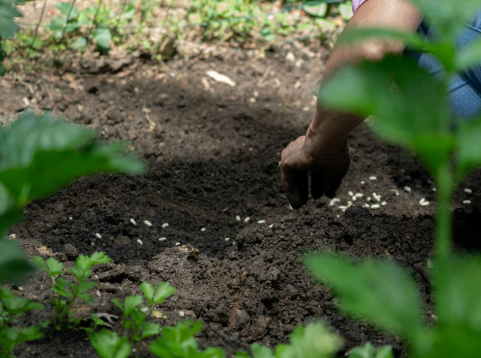 Direttiva europea suolo: Parlamento e Consiglio UE trovano l’intesa