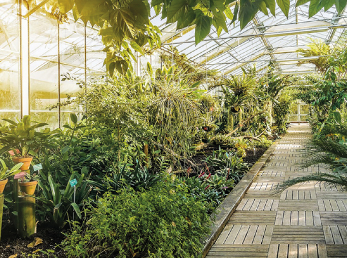 Occitania, regione a energia positiva