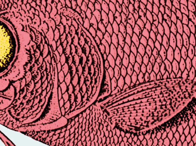 Quando piccolo è meglio