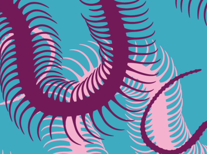 Quando depredare l'ambiente diventa un  business