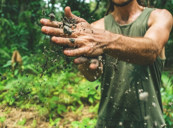 Cos’è l’agricoltura sintropica e perché serve al pianeta