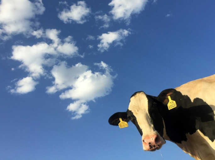 UE: taglio di emissioni del 90% al 2040, con l’aiuto del nucleare ma senza quello dell’agricoltura