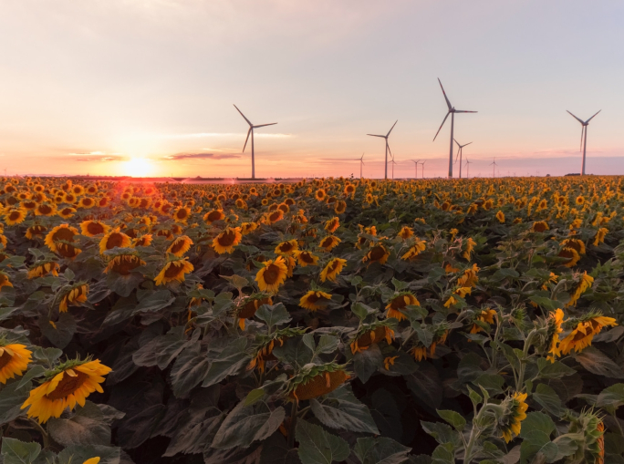 Direttiva energie rinnovabili, Parlamento UE e Consiglio raggiungono l’accordo