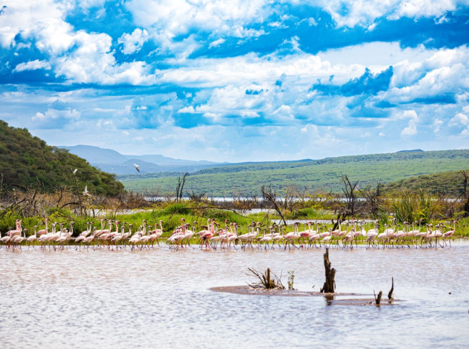 Fermare l’innalzamento dei laghi della Rift Valley