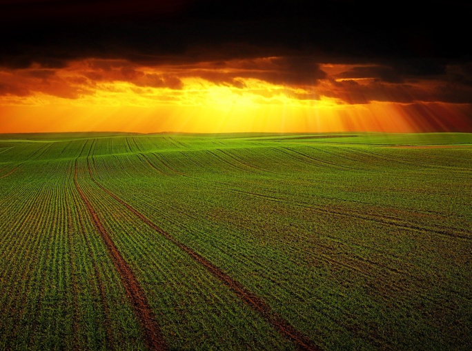 Politica Agricola Comunitaria, un fallimento che contraddice il Green Deal