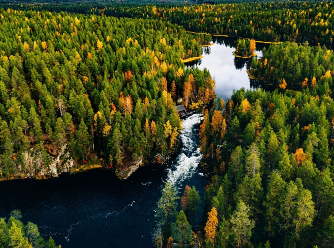 Finlandia, crisi di un modello forestale tra impegni mancati e vecchie abitudini