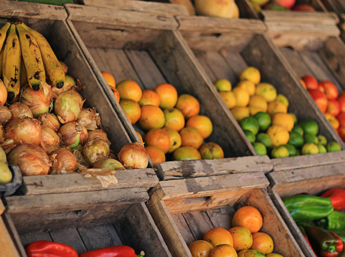Food: sempre più aziende del settore alimentare guardano all’economia circolare