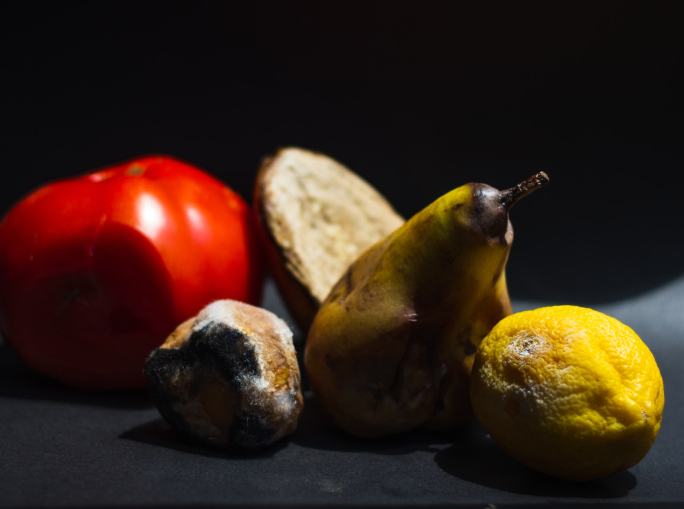 Spreco di cibo: un miliardo di tonnellate all’anno, secondo il nuovo report Unep