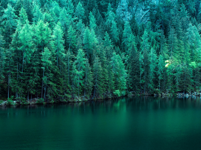 L’Italia adotta la sua strategia forestale