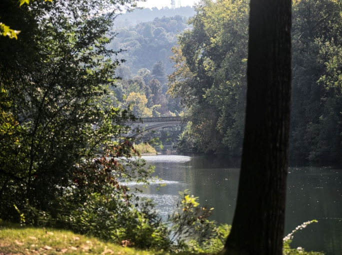 Forum biodiversità nel distretto del Po 2025: appuntamento il 12 e 13 marzo