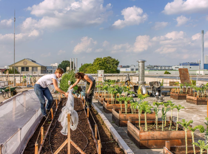 Carlo Petrini e Franco Fassio: ecco il futuro dell’economia circolare per il cibo