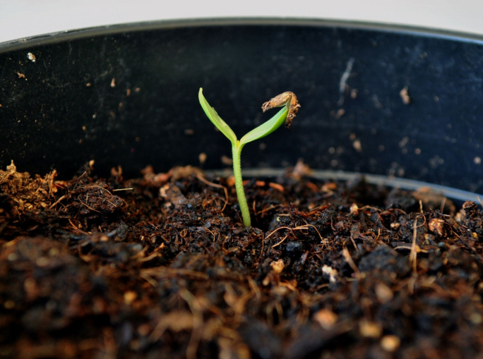 Biosoluzioni, Assobiotec sigla un accordo con la European Biosolutions Coalition