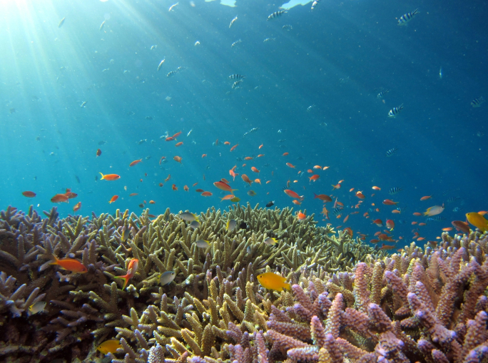 Giornata mondiale degli oceani, tasso di riscaldamento raddoppiato in 20 anni