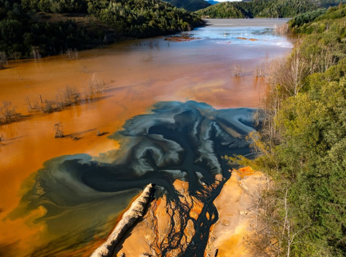 Report IPBES 2026: il business as usual distrugge la biodiversità, ma salvarla conviene anche alle aziende