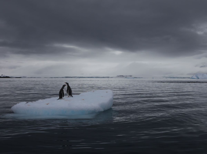 Il pianeta è in crisi ma possiamo ancora scegliere il nostro futuro: il GEO-7 UNEP