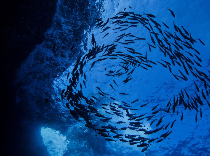 Il via libera di Trump al deep sea mining in alto mare minaccia la cooperazione internazionale