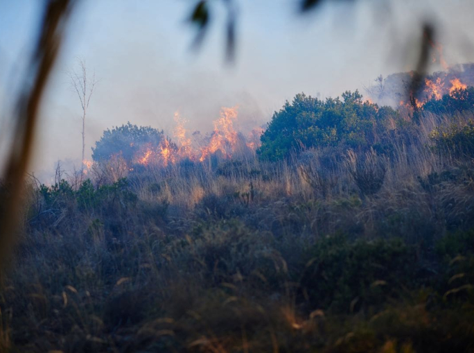 Incendi, aumentano l’intensità e la durata in Europa e Nord America