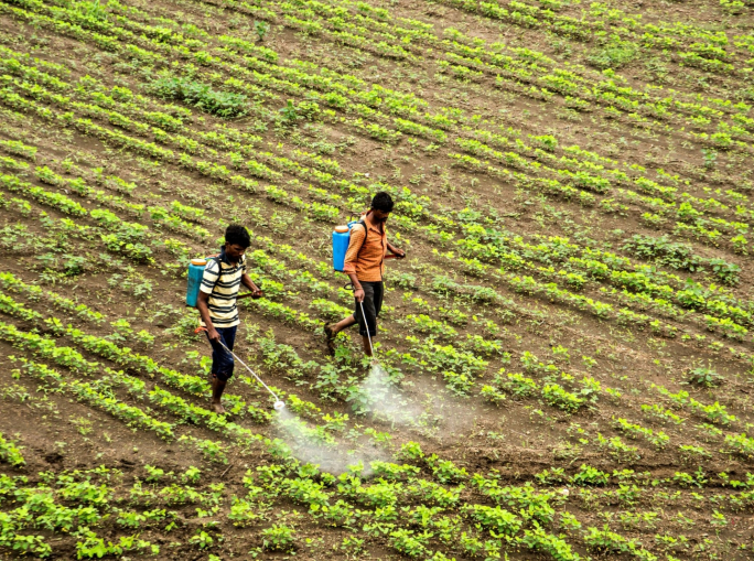 I pesticidi pericolosi vietati in UE ma ancora esportati all’estero