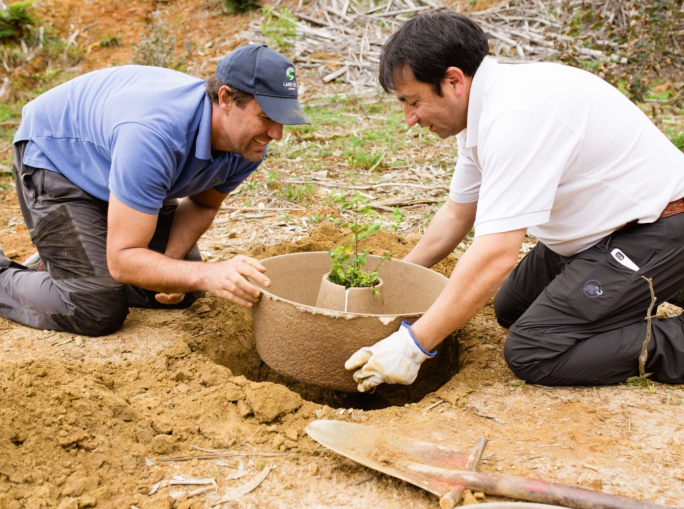 Startup, tecnologie all’avanguardia per la riforestazione con Land Life Company