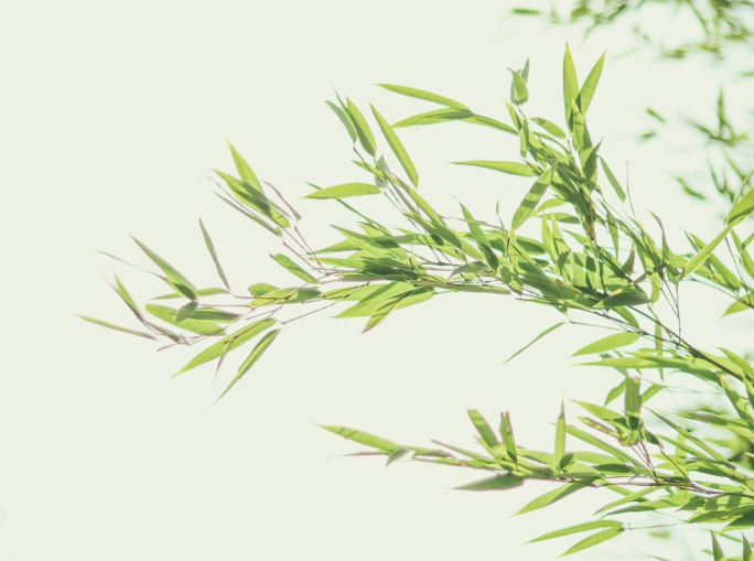 Finanza sostenibile, verso un mondo a due velocità in cui l’Europa supera gli USA