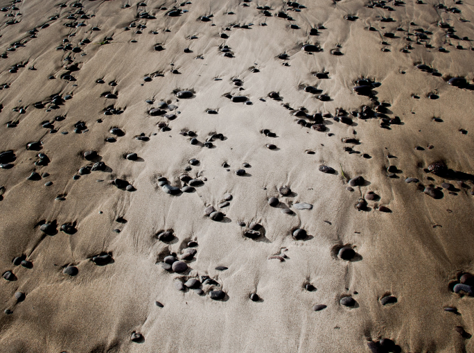 Suolo, cibo, emergenza siccità: a fine luglio il Simposio FAO