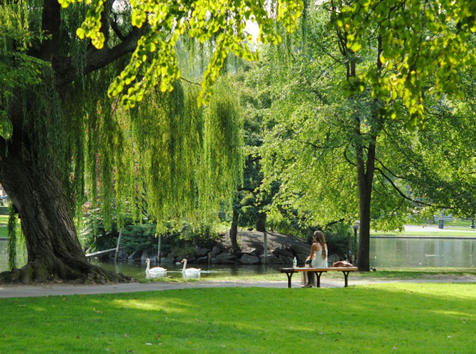 Giornata mondiale dell’habitat 2024: le 10 città più naturali d’Italia