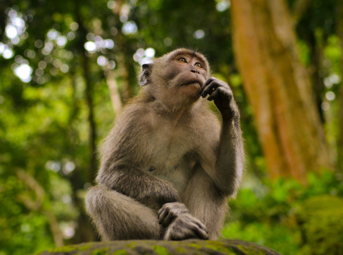Esseri umani e natura, perché è importante la biodiversità