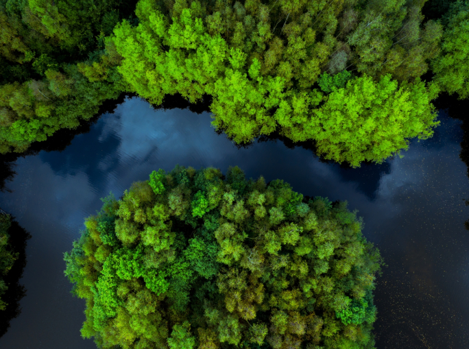 Ecuador, a referendum for the future