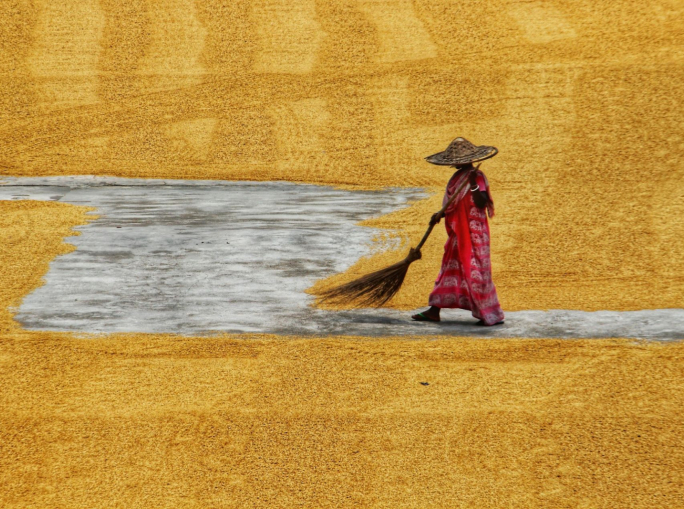 Come l'economia circolare può supportare una transizione giusta