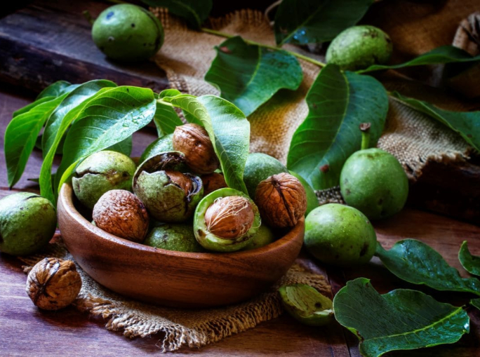 Startup, Kuori: Bioplastics from Olive Pits and Nut Shells