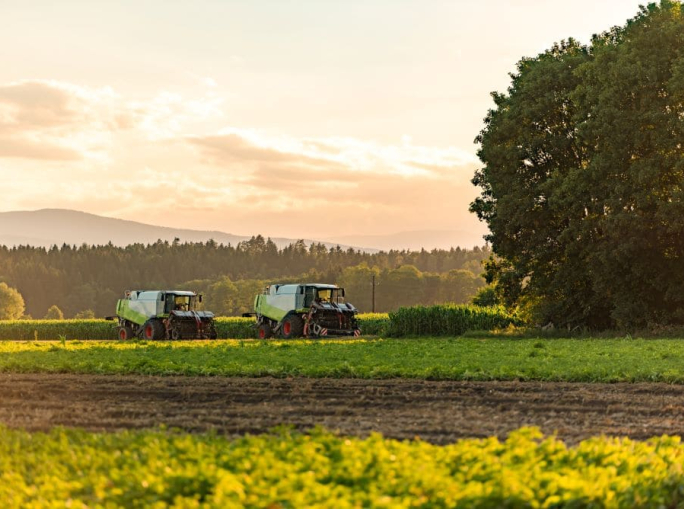 La bioeconomia italiana vale più di 426 miliardi di euro: i dati 2024