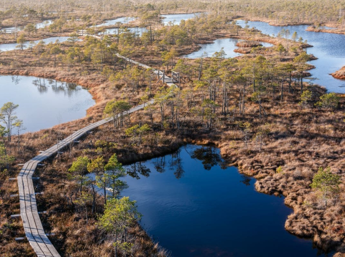 La conservazione delle zone umide in contesti politici difficili