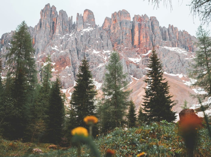 La ricchezza di biodiversità non è scontata