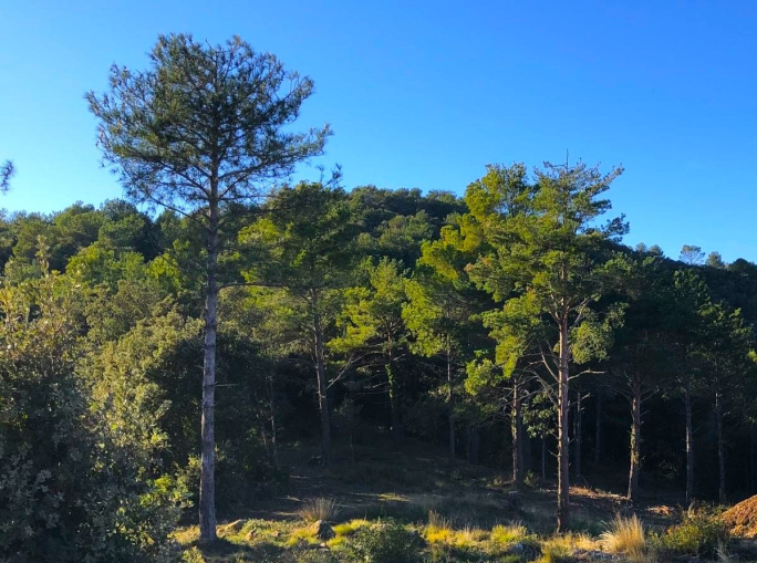 Perché la rigenerazione deve parlare il linguaggio della finanza