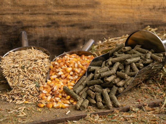 La svolta circolare della mangimistica: crescita del 23% entro il 2030