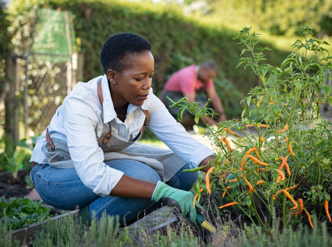 Cities Rising to the Challenge: Building Food Security from the Ground Up