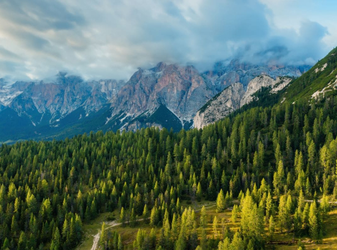 Legacoop Agroalimentare e Legambiente, intesa strategica per i boschi italiani