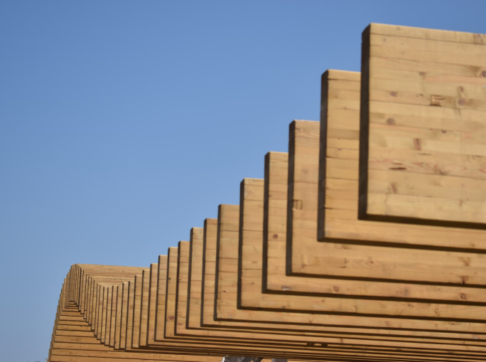 Edilizia in legno: così Built by Nature vuole trasformare le città in pozzi di carbonio