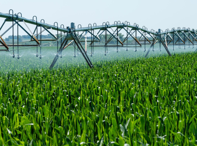 A Firenze il Forum internazionale sulle biotecnologie industriali e la bioeconomia