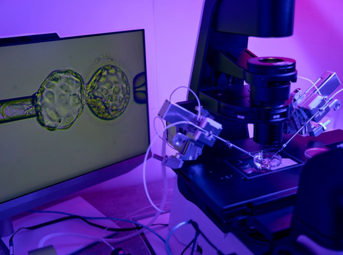 Artificial Intelligence Revolutionises the Lab