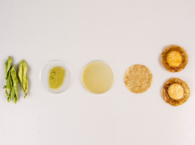 Startup: Materials Design Map, una mappa online gratuita dei materiali sostenibili