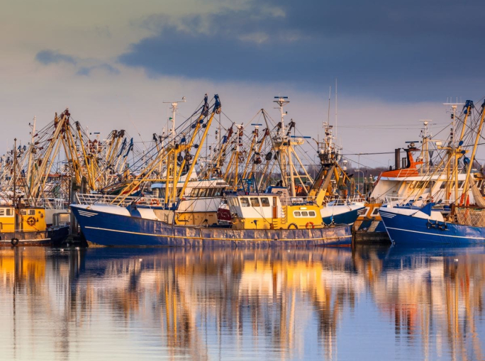 Mediterraneo e Mar Nero, overfishing in calo e acquacoltura in crescita