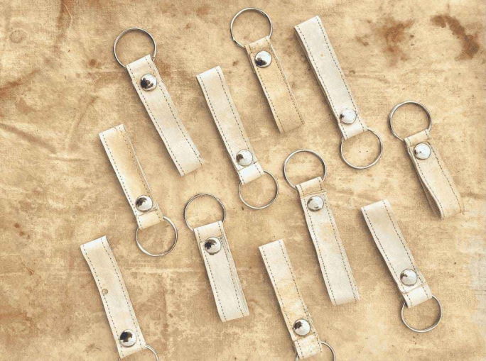 Startup, Mycelium-based Eco-friendly Leather from Argentina with Mycorium Biotech